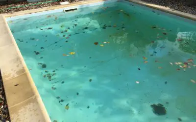 Mein Pool, mein Badespass