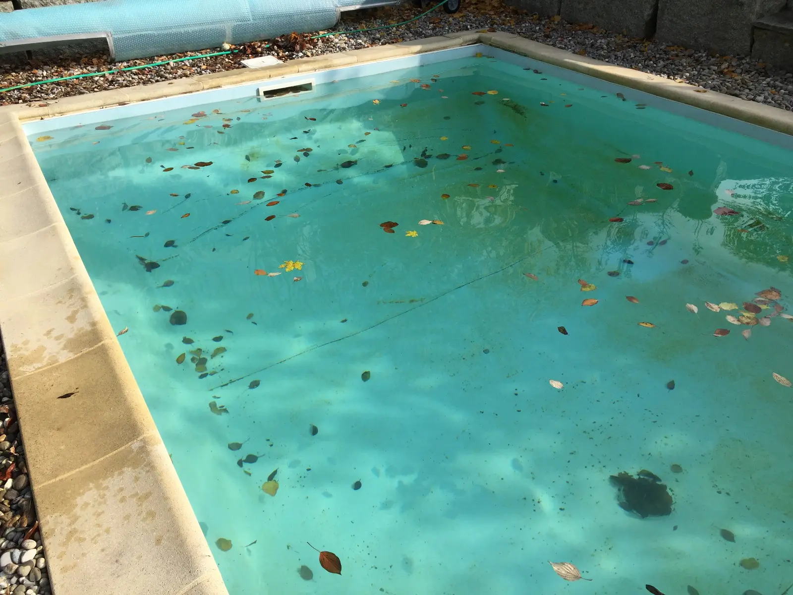 Ein rechteckiger Swimmingpool mit klarem Wasser ist mit herabgefallenen Blättern bedeckt, was die Notwendigkeit regelmäßiger Poolwartung unterstreicht. Der Poolrand ist von beigefarbenen Fliesen umgeben, die zur Liebe zum Detail einladen und einen gründlichen Poolservice erfordern, um den makellosen Zustand zu erhalten.